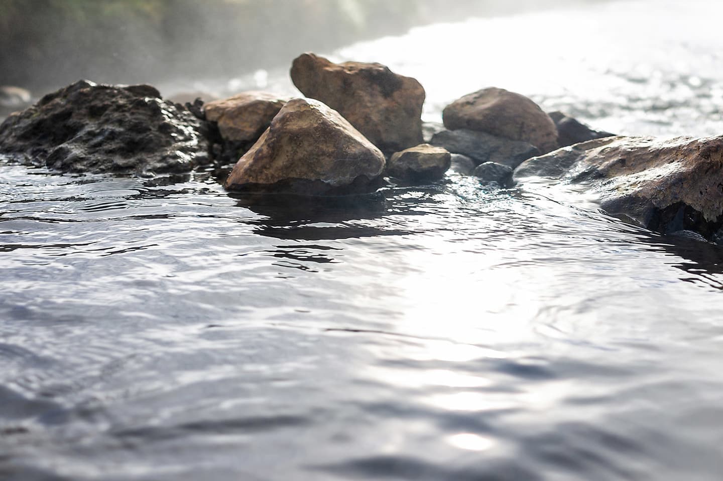 毎回大人気のお食事